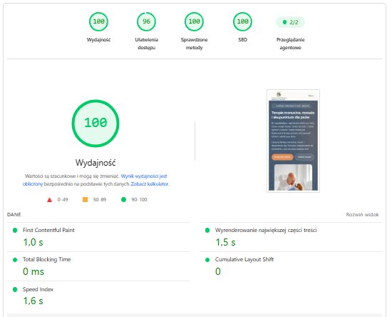 PageSpeed Insights psikomfort.pl — Performance 100, Accessibility 96, Best Practices 100, SEO 100 (Gabinet Terapii Psikomfort)